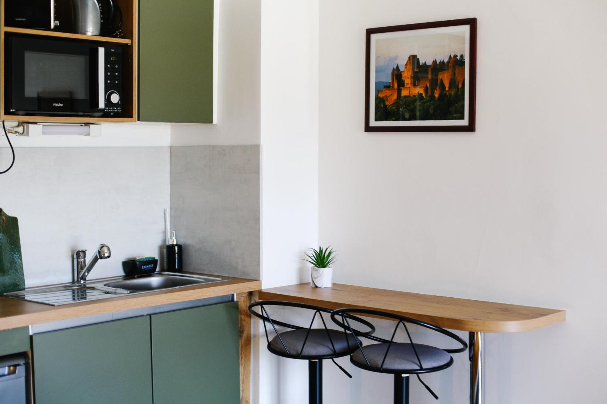 Studio Avec Parking Vue Sur La Cite De Carcassonne Zewnętrze zdjęcie